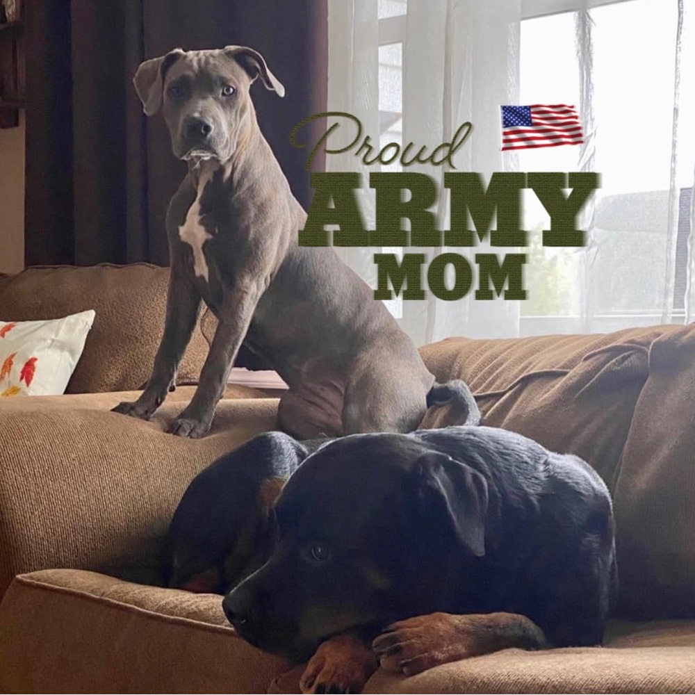 Meet your Posher, Desiree